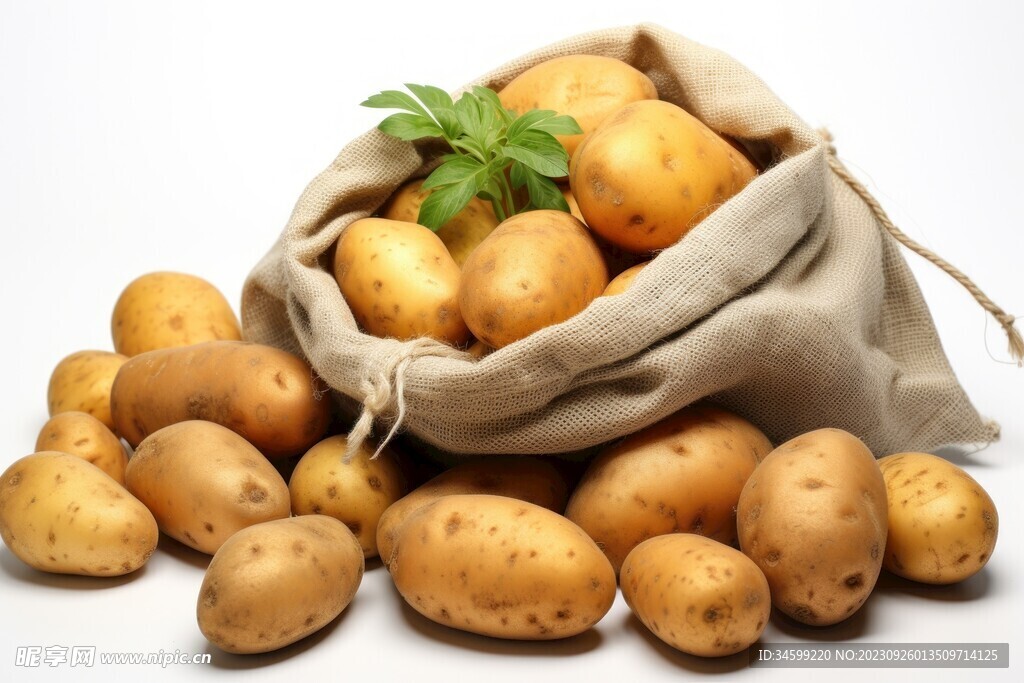 土豆 