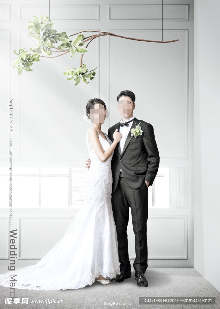 韩系婚礼模板