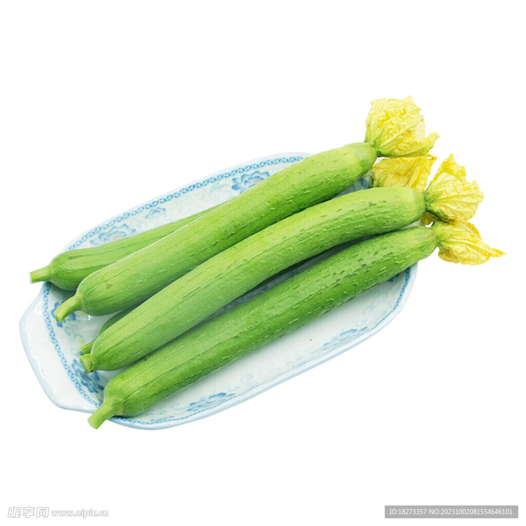 絲瓜