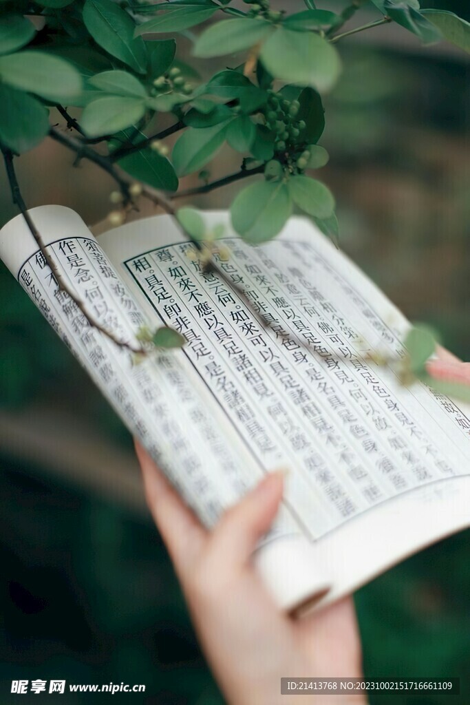 書本書香藝術