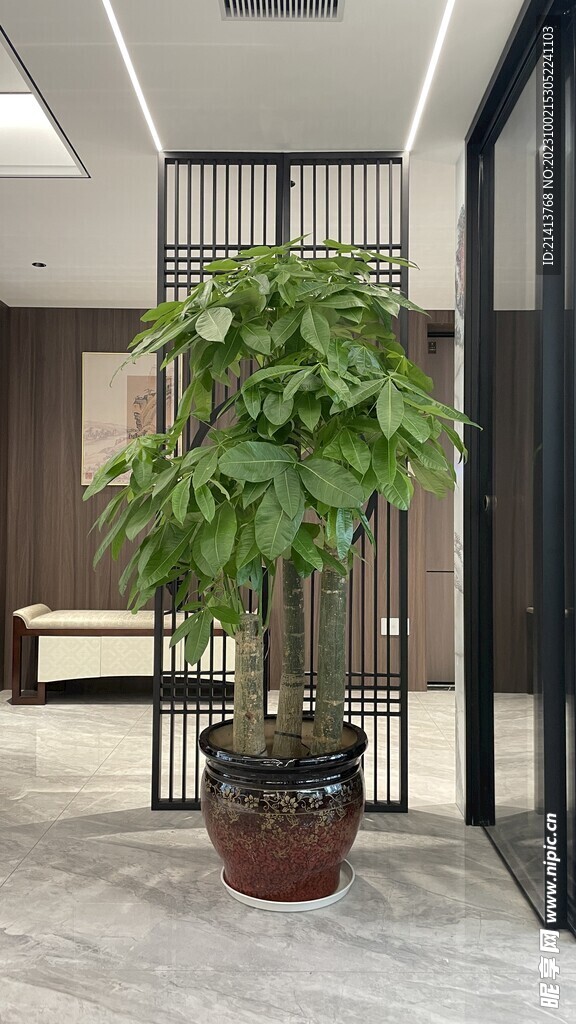 家居綠植擺件