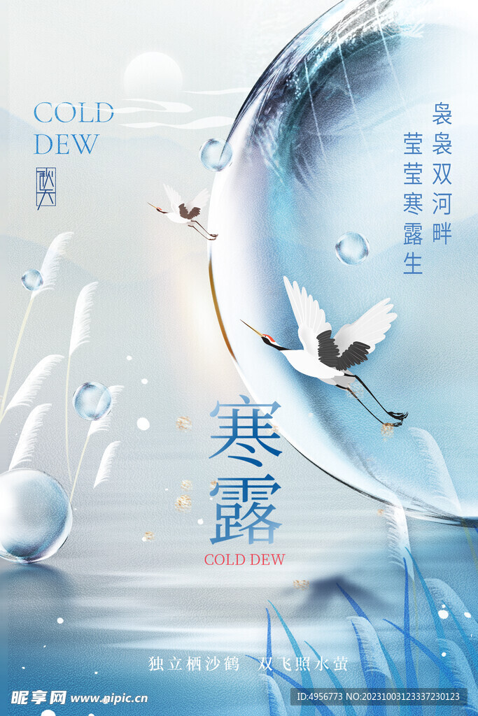 寒露仙鶴露水二十四節氣海報