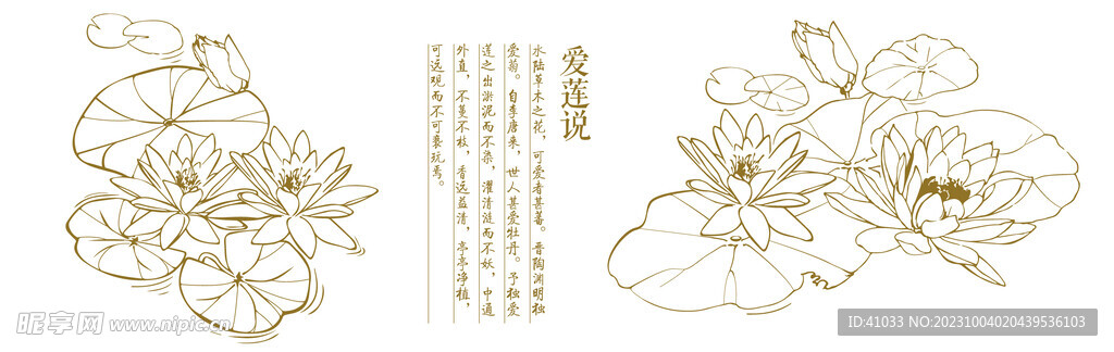睡蓮