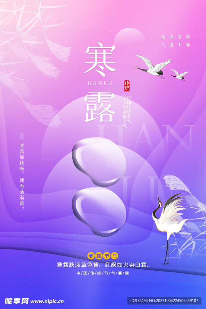 寒露海報