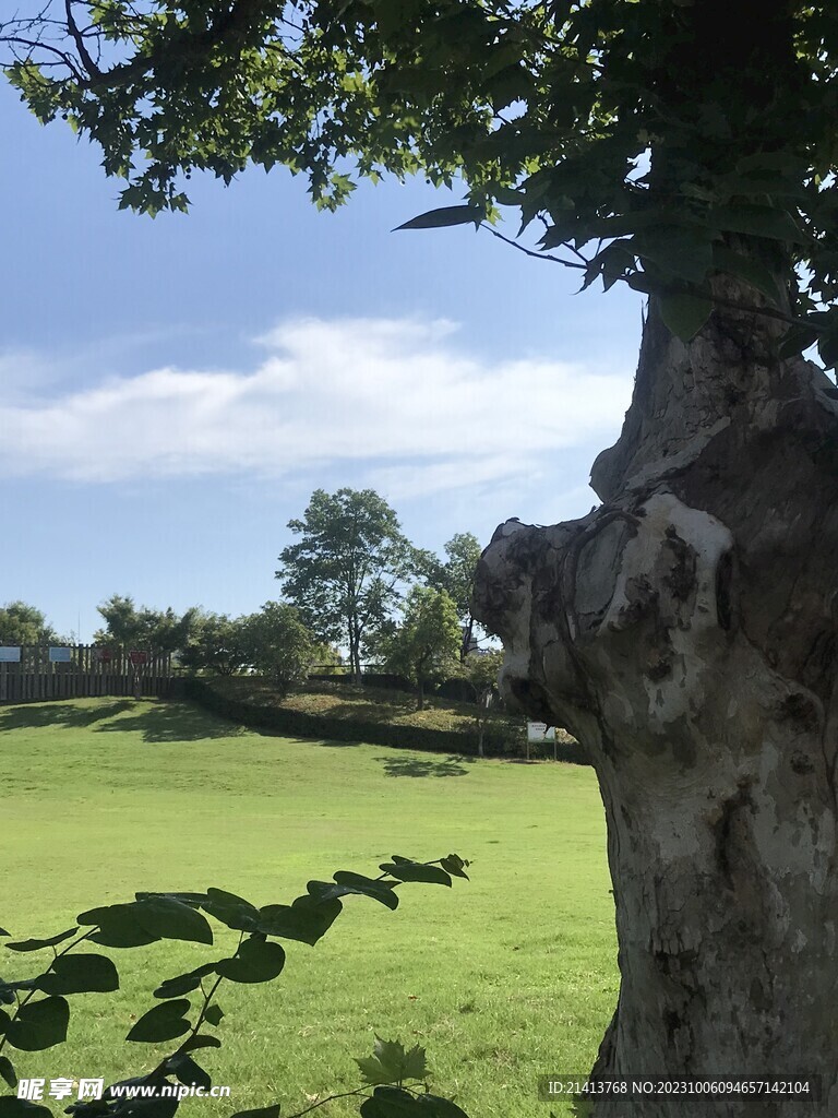 自然風光風景