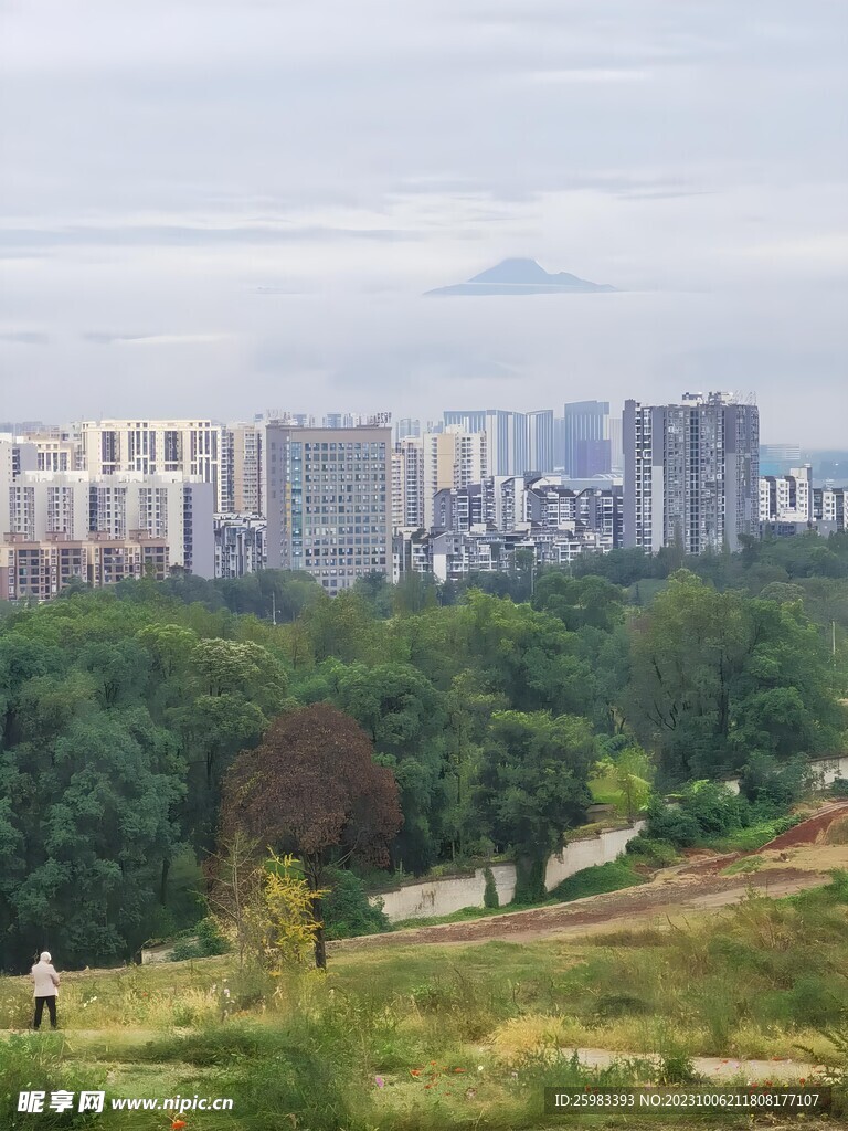 城市的郊外