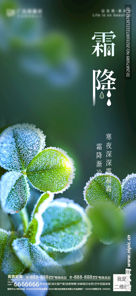 霜降海報(bào)