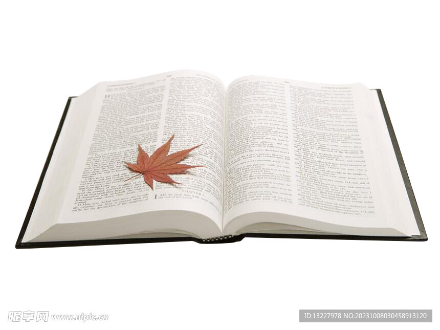 翻開的書
