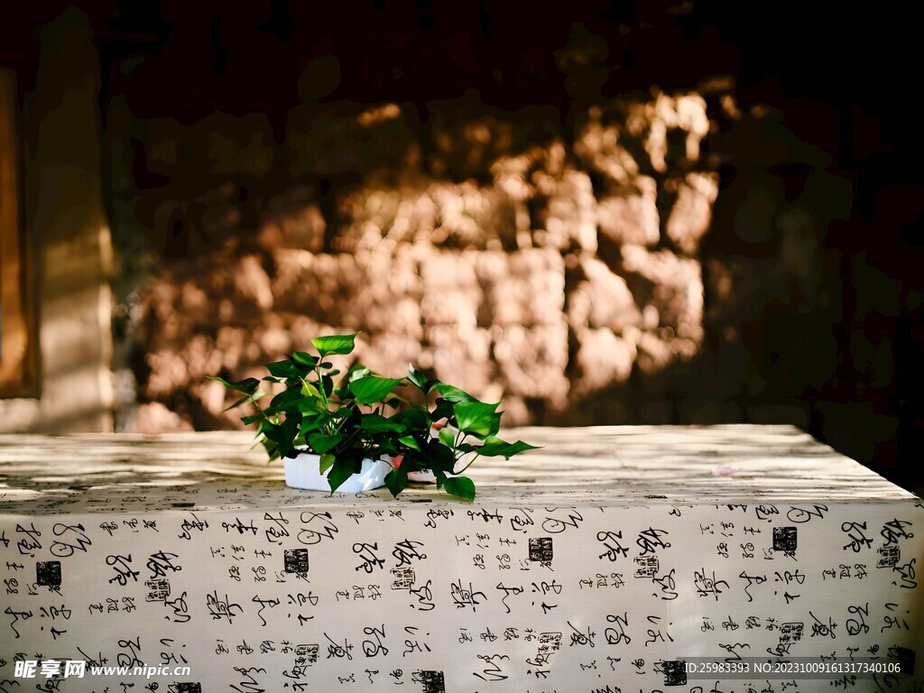 室內(nèi)的綠植