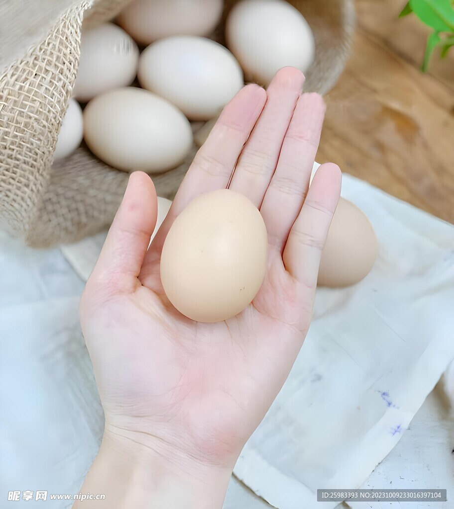 雞蛋