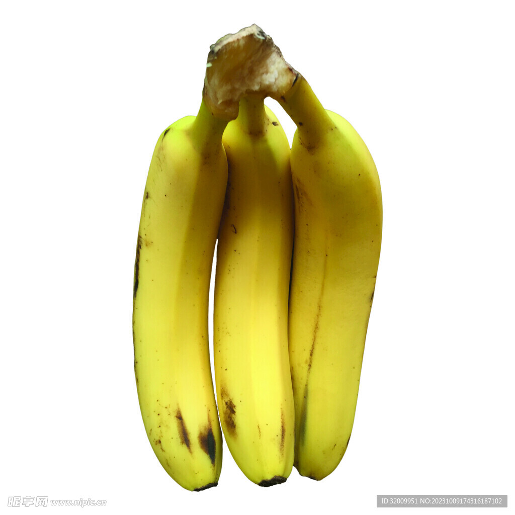 香蕉             