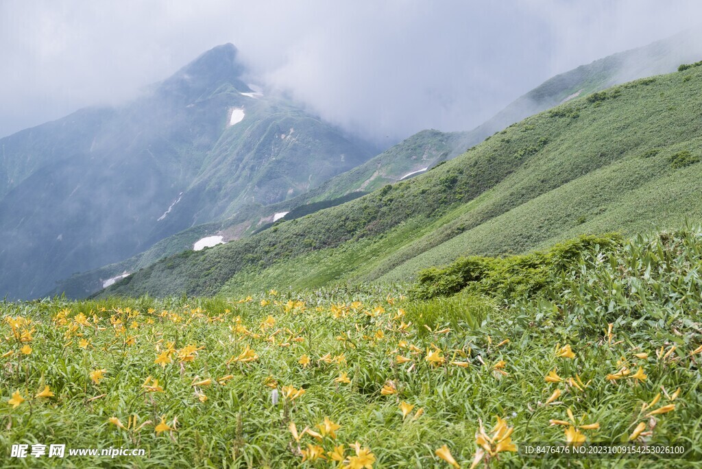 山頂山坡