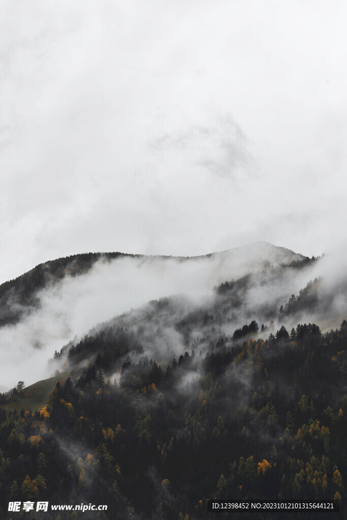 云雾袅绕的山林
