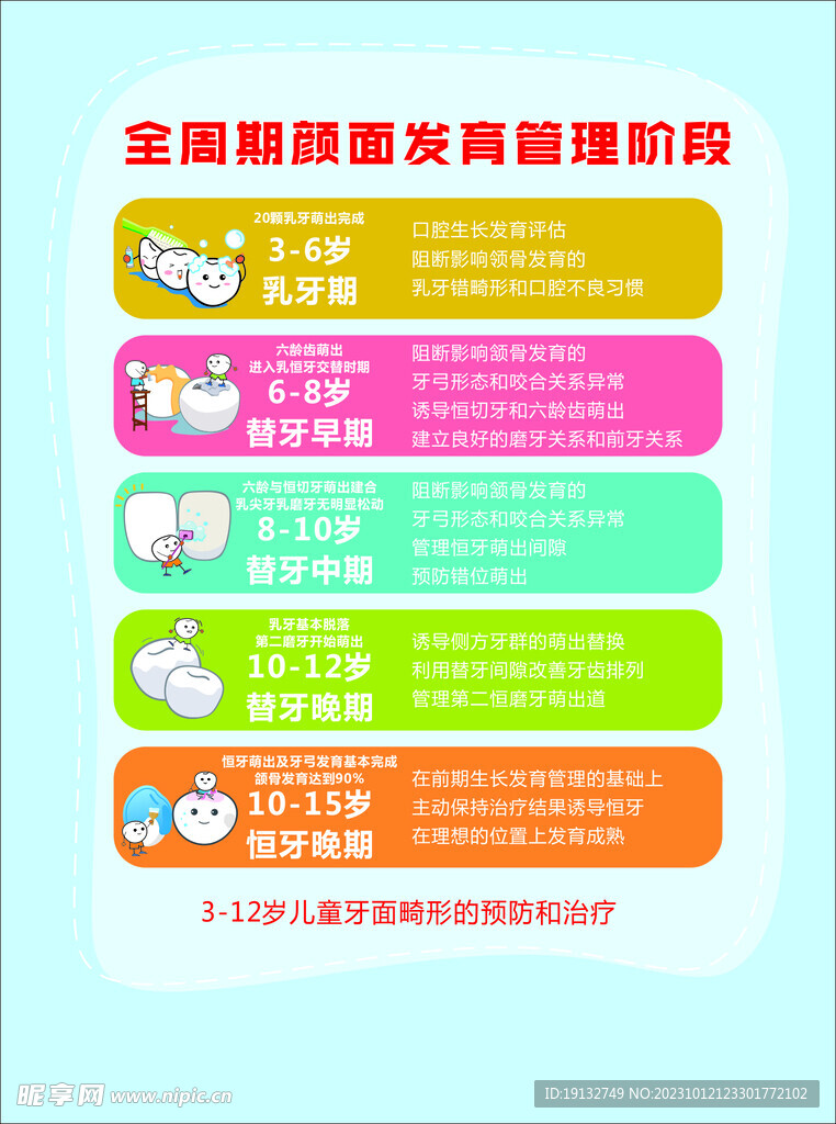 顏面發育管理階段