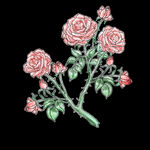 中国风复古手绘花朵纹理玫瑰花