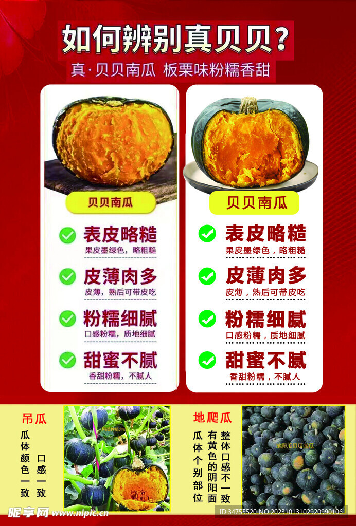 小南瓜