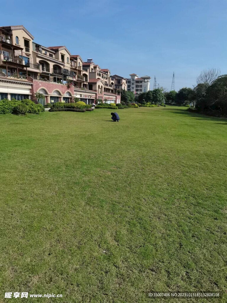 草地  別墅