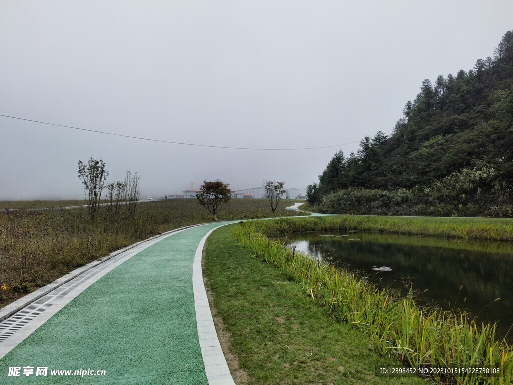 湖邊彩色步道