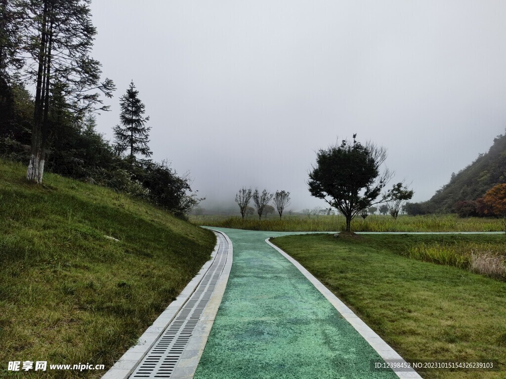 湖邊彩色步道