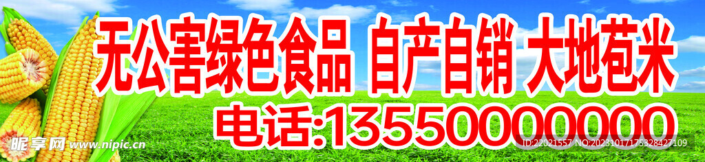 無公害玉米背景