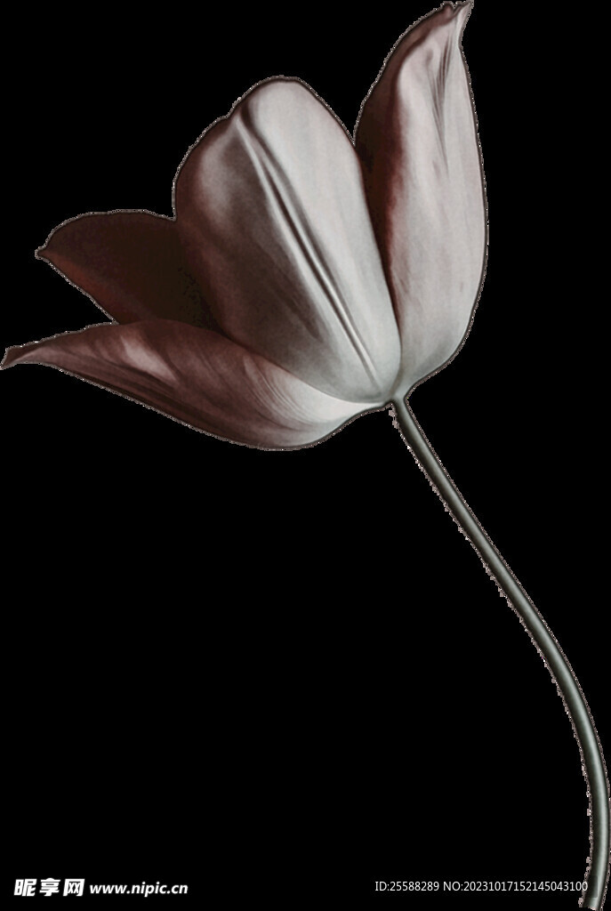 花卉