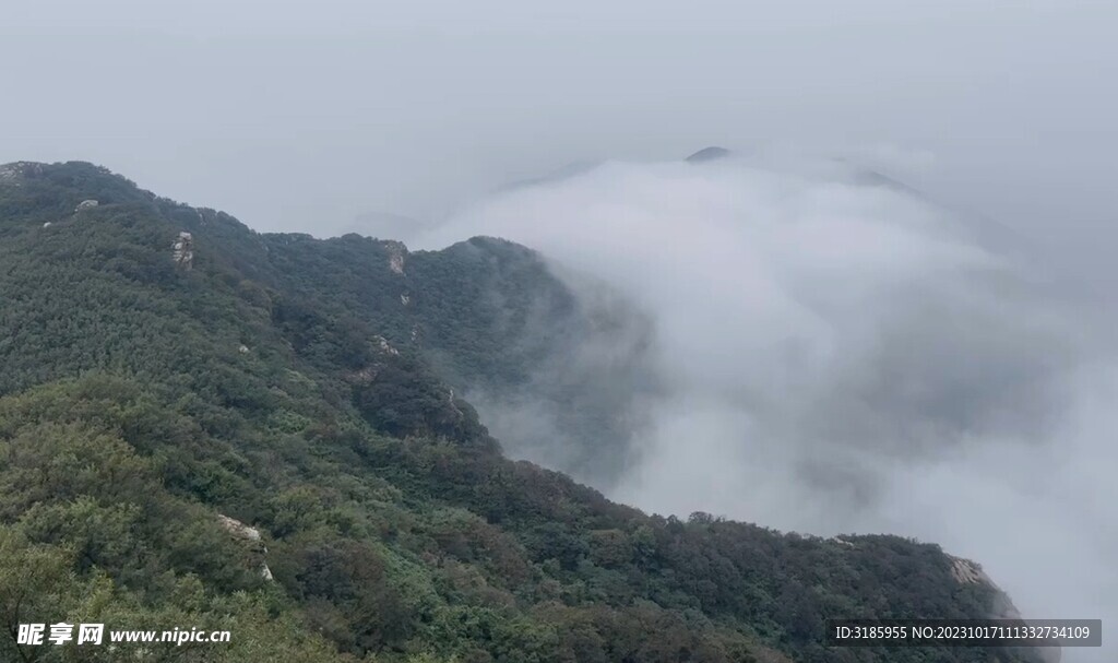 花果山上的云雾