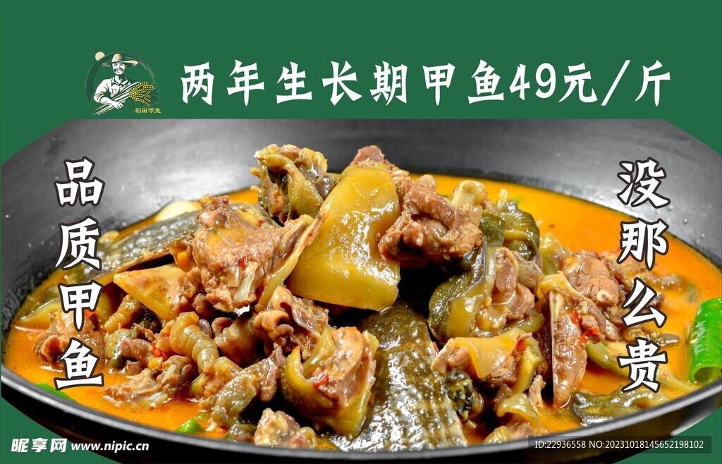 甲魚(yú)