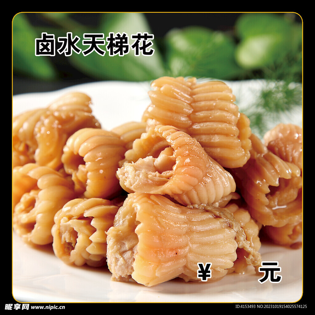 鹵水天梯花