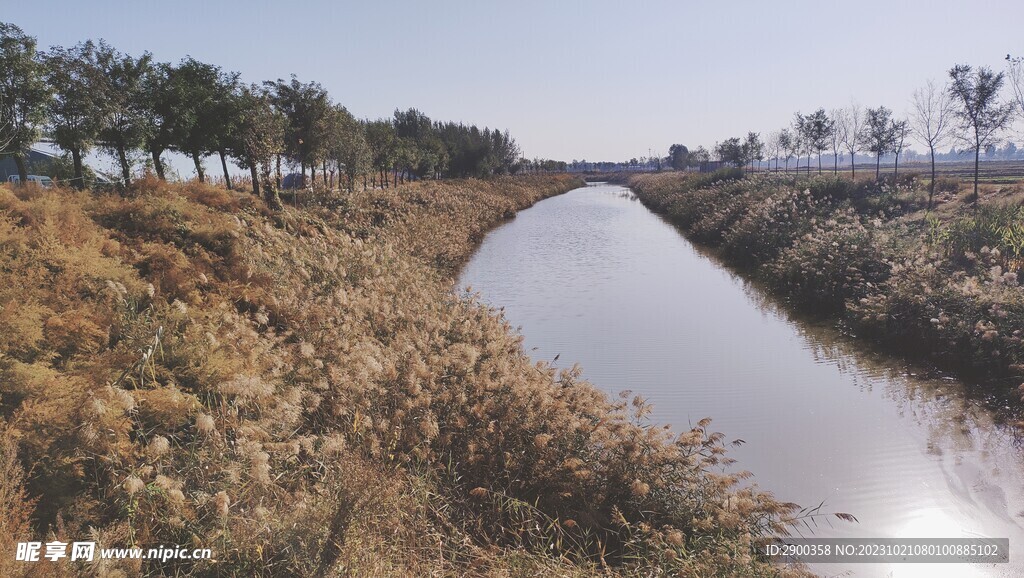 淄河