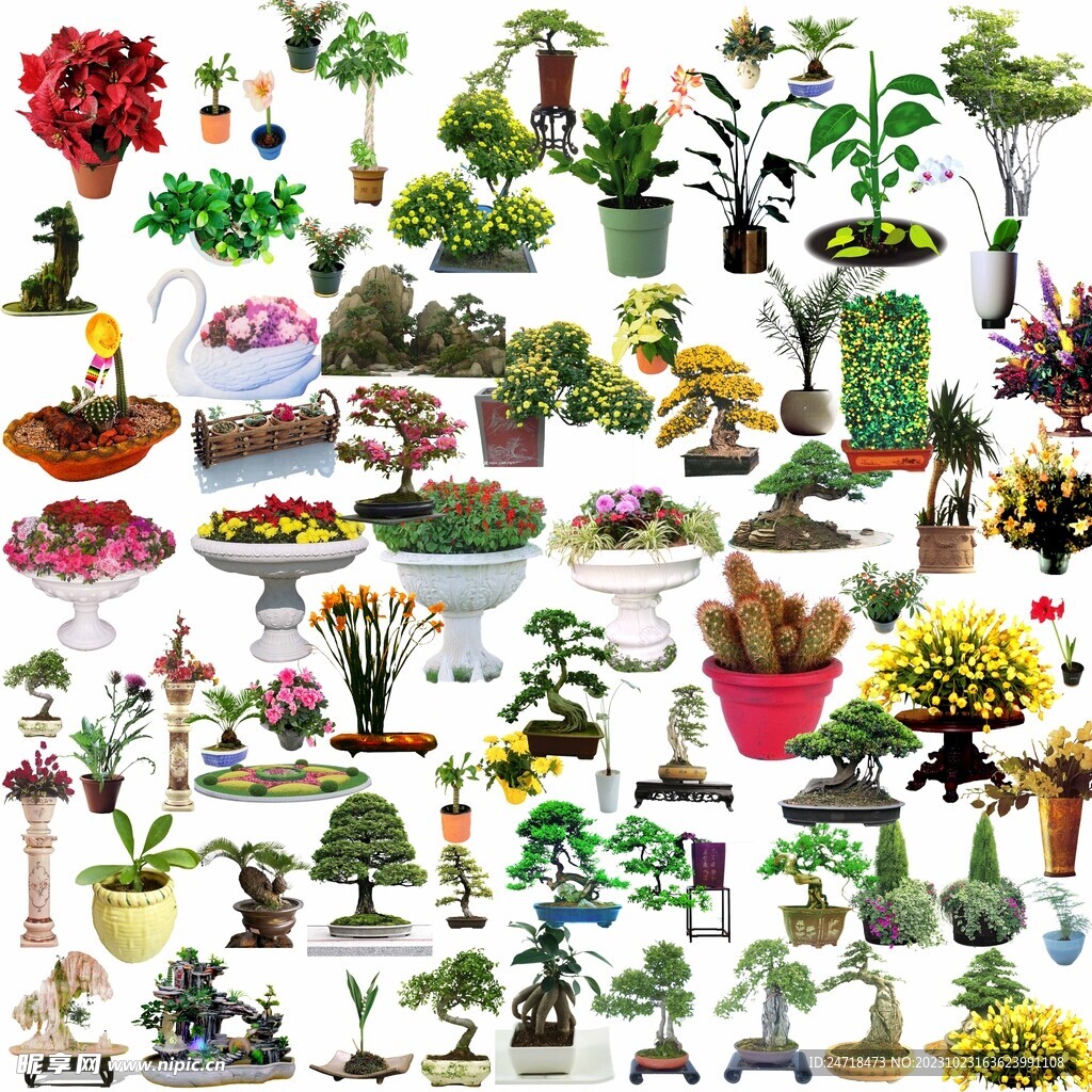 植物免摳圖