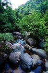 山澗