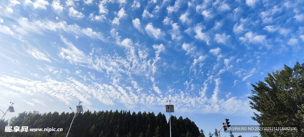 风景云天空树蓝天白云