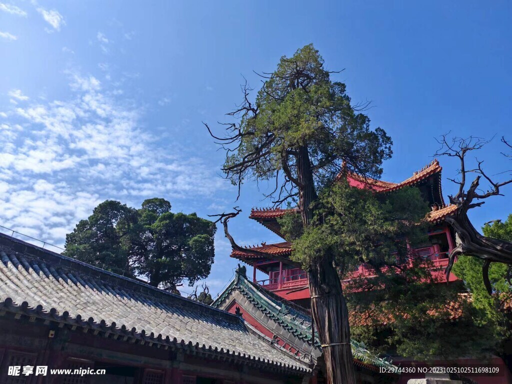 孔廟