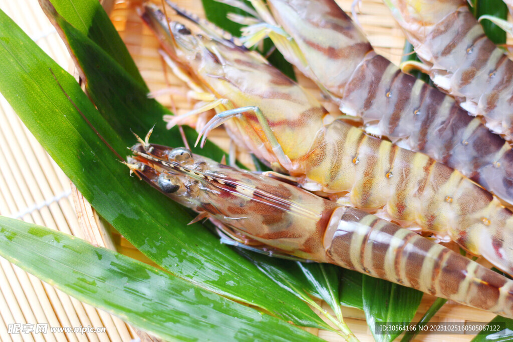 大蝦食材