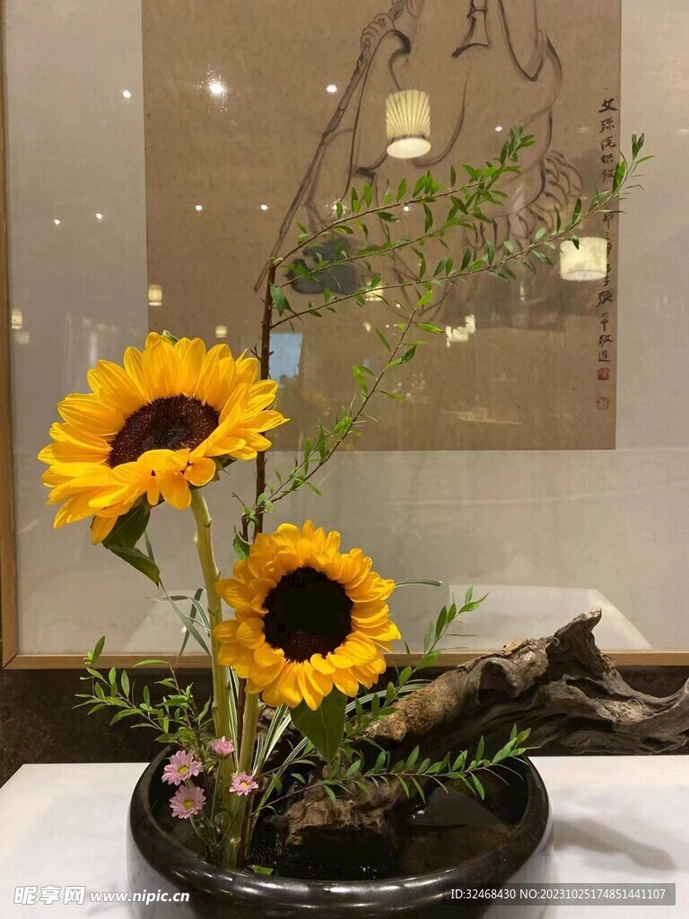 向日葵