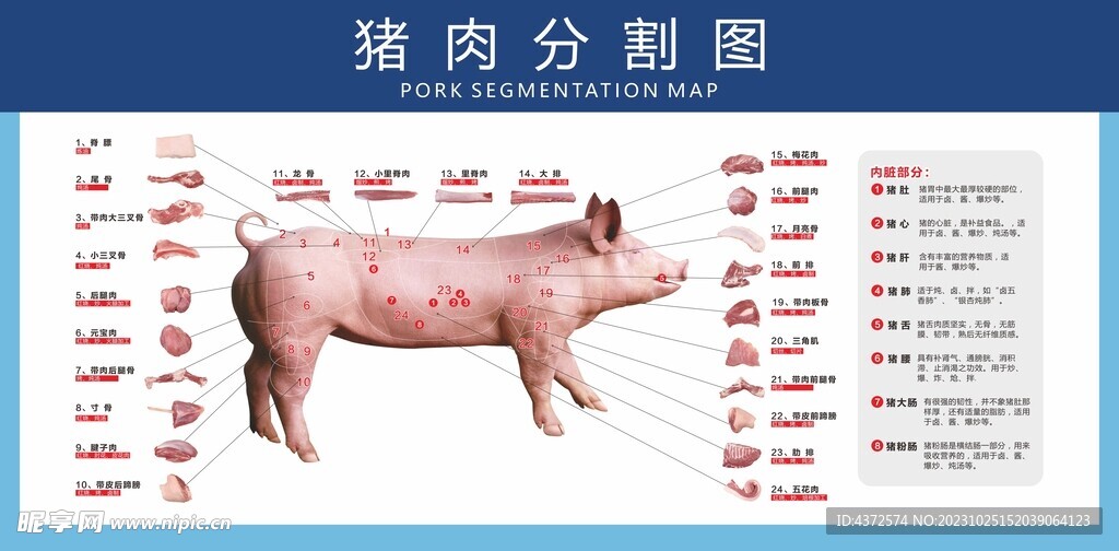 猪肉分割图  超市产品