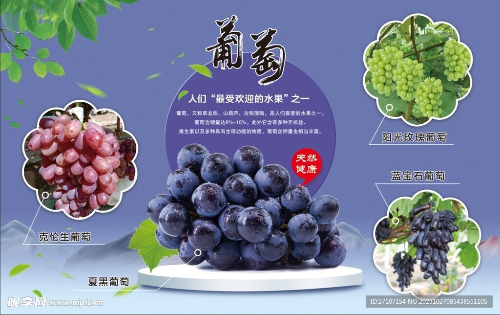 葡萄海報  