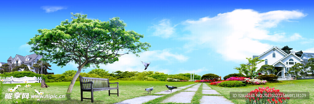 風(fēng)景