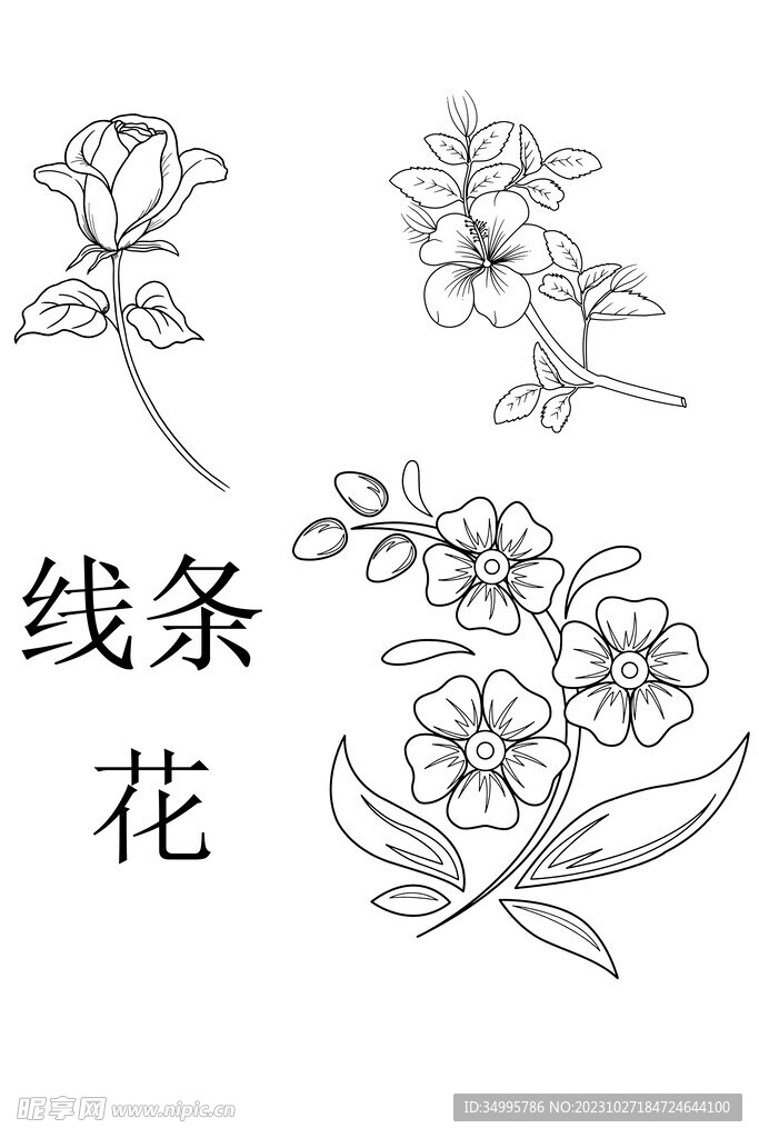 線條花