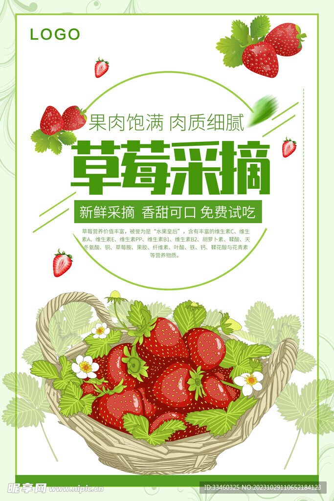 草莓采摘