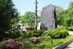 鎮(zhèn)龍山國家森林公園五峰林場