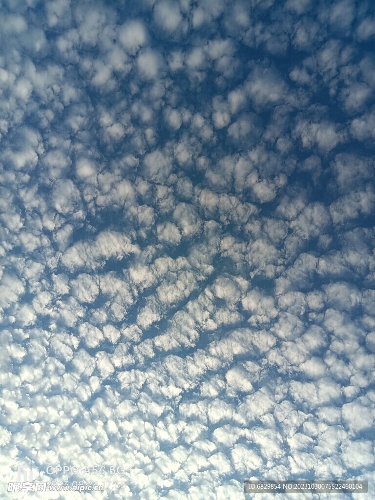 美麗的云