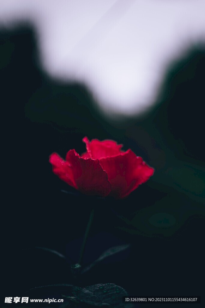 客來邸