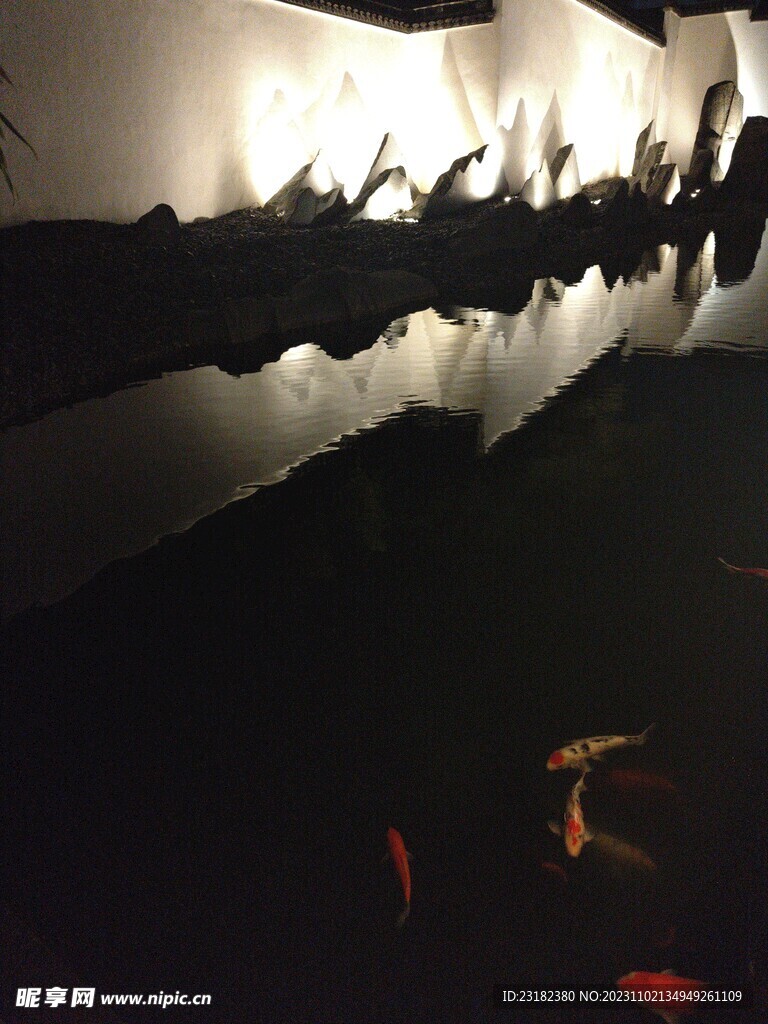 苏州博物馆 锦鲤