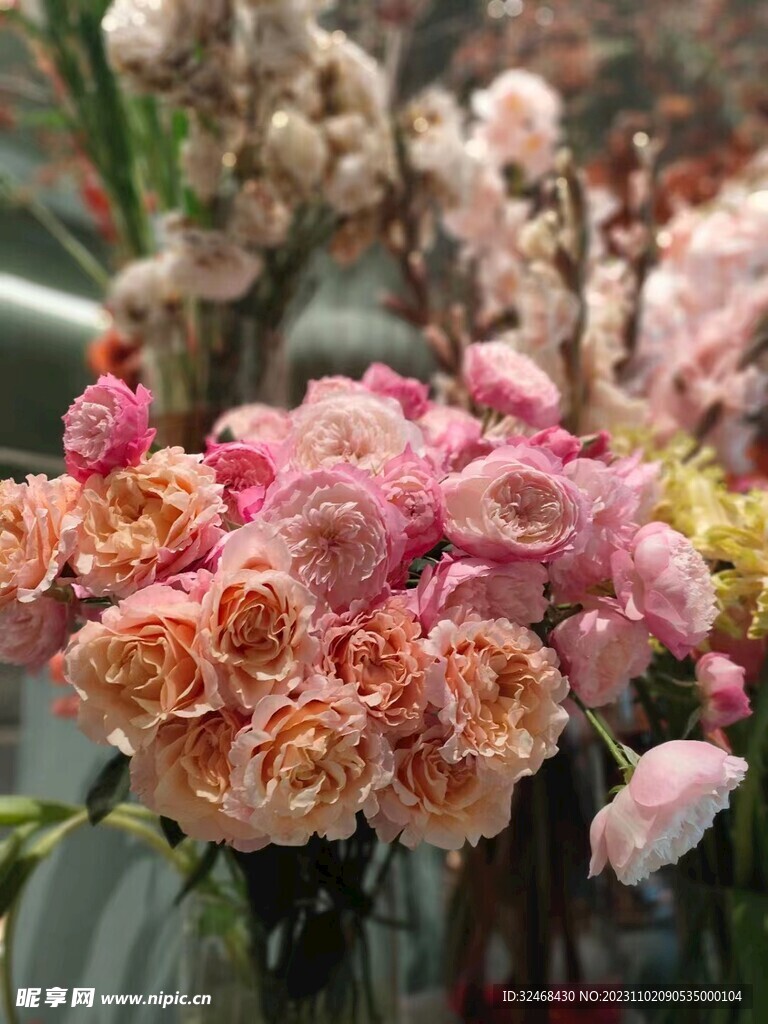花店的花