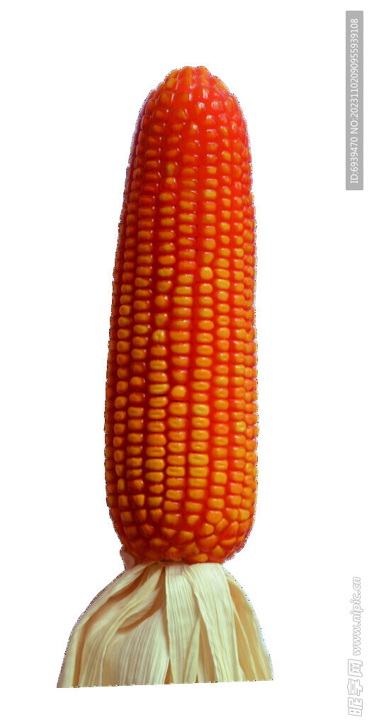 玉米棒