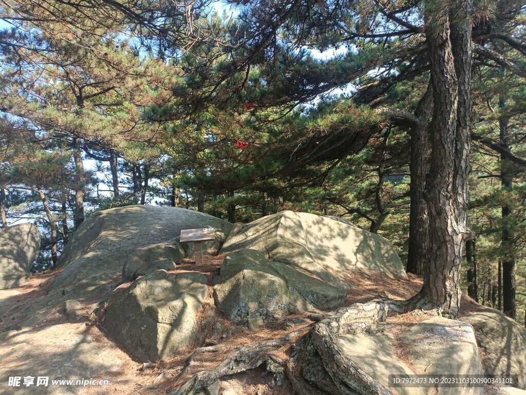 松峰