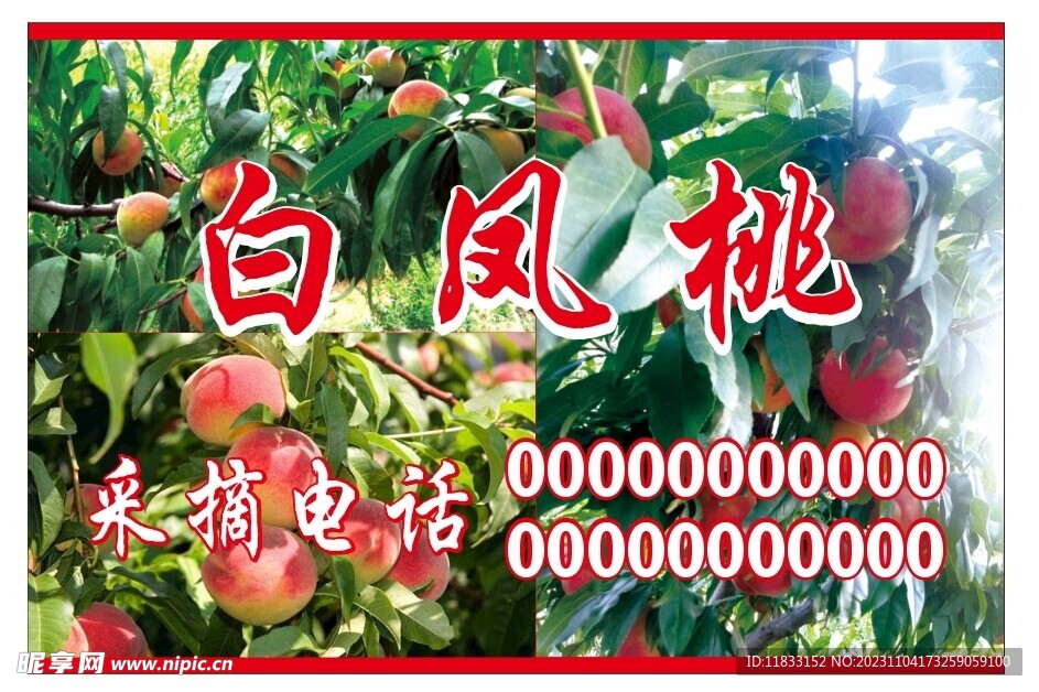 白鳳桃
