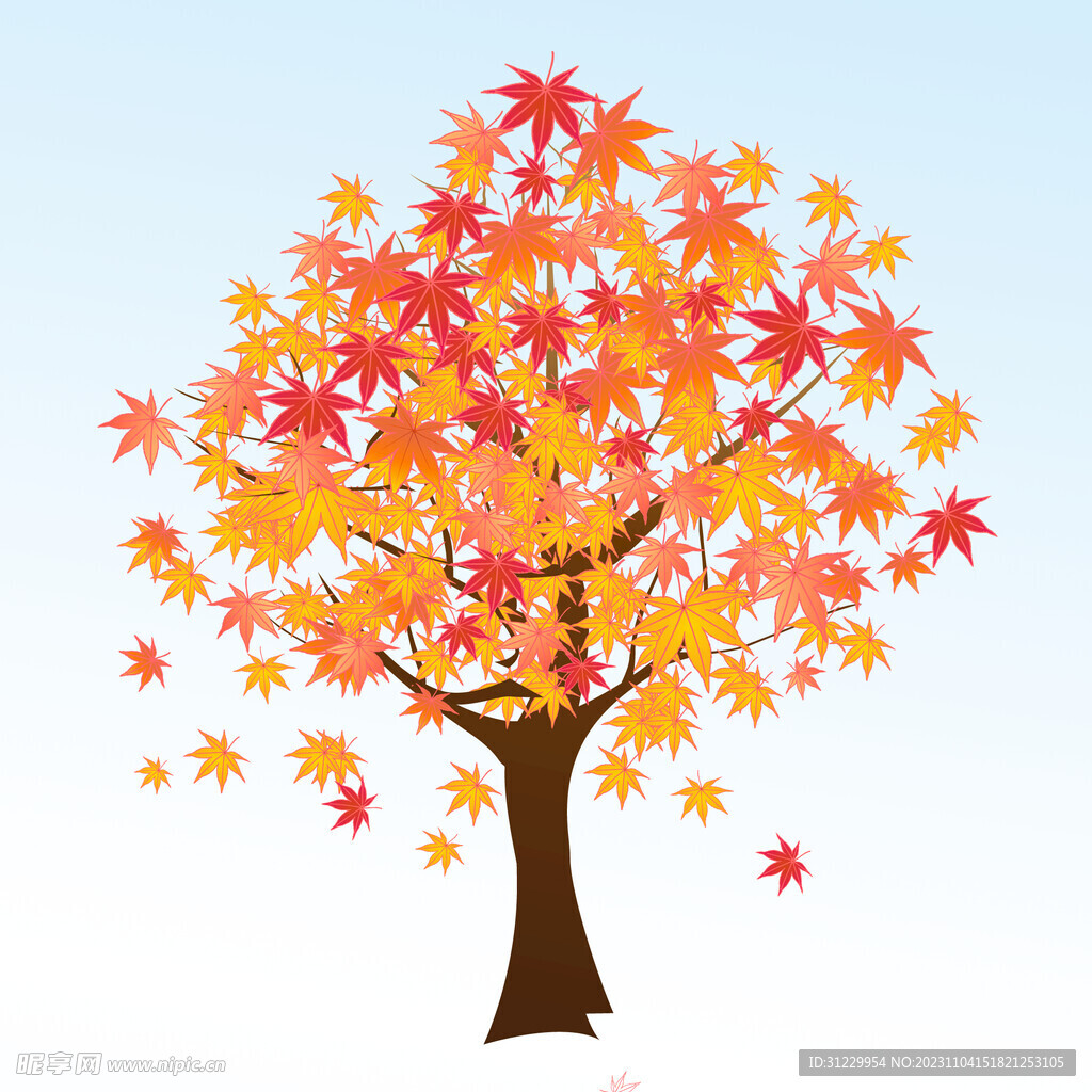  楓樹紅了 