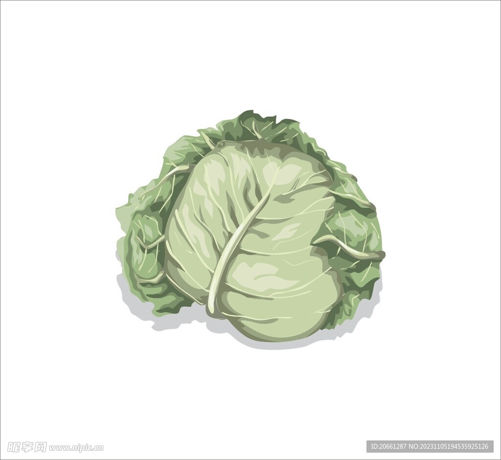 大頭菜